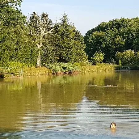 Etang Kemp