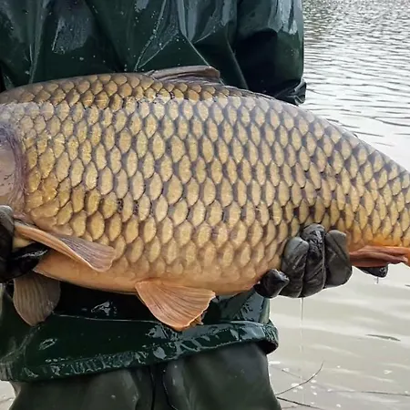 Etang * Chapeau