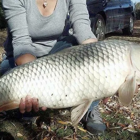 Etang