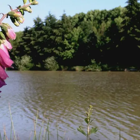 Etang *