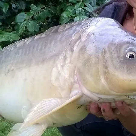 Etang * Chapeau