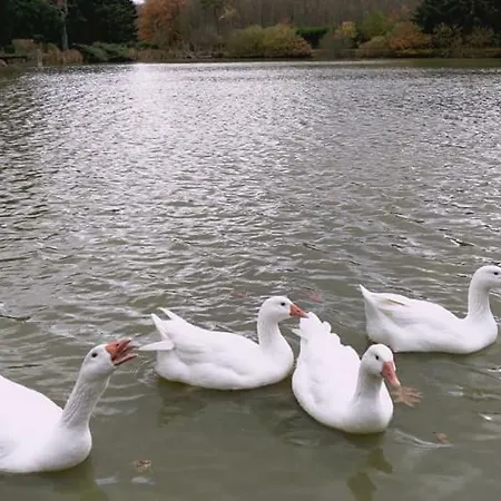 Etang * Chapeau