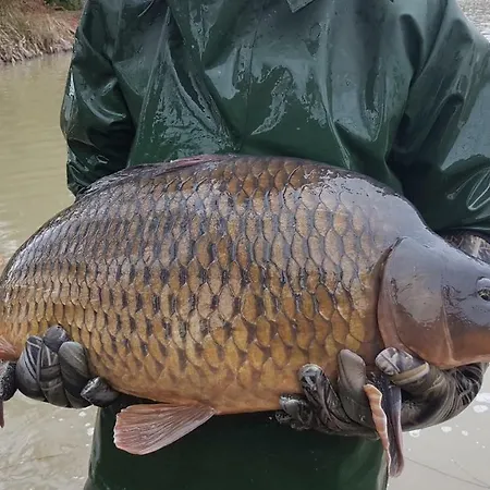 Etang * Chapeau
